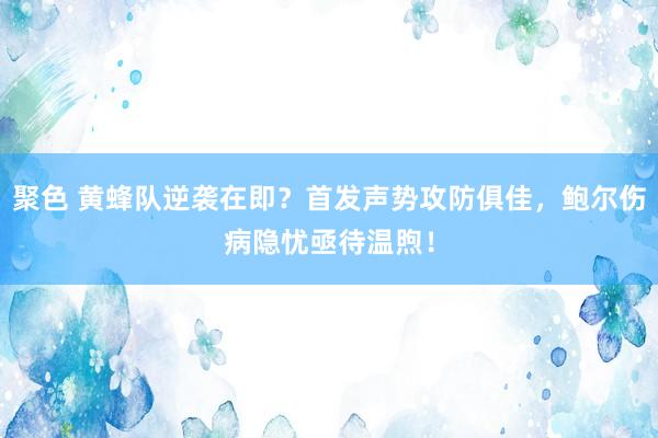 聚色 黄蜂队逆袭在即？首发声势攻防俱佳，鲍尔伤病隐忧亟待温煦！