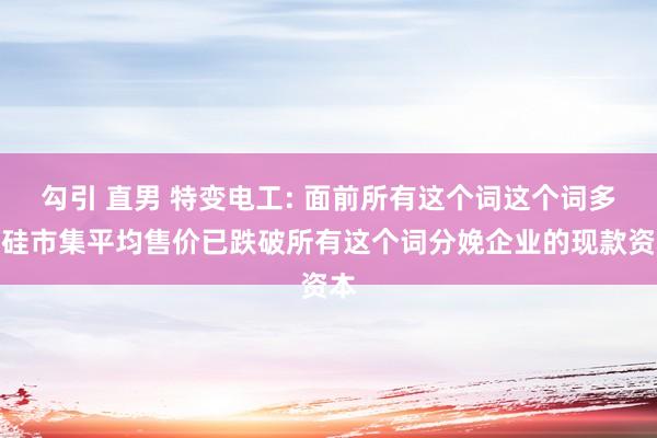 勾引 直男 特变电工: 面前所有这个词这个词多晶硅市集平均售价已跌破所有这个词分娩企业的现款资本