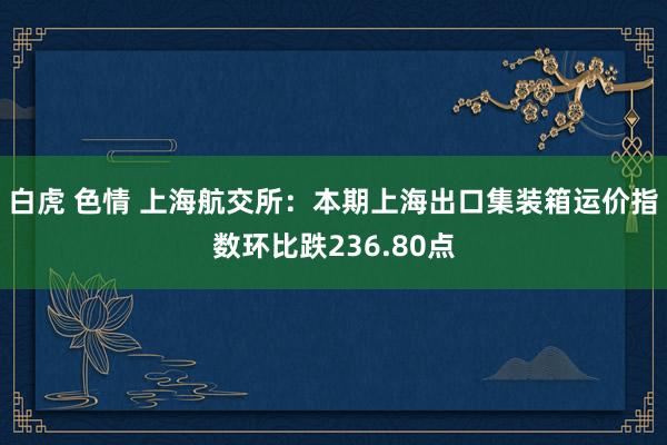 白虎 色情 上海航交所：本期上海出口集装箱运价指数环比跌236.80点