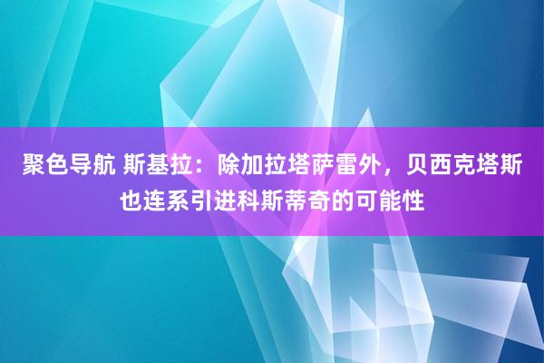 聚色导航 斯基拉：除加拉塔萨雷外，贝西克塔斯也连系引进科斯蒂奇的可能性