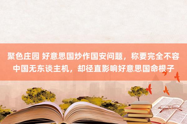 聚色庄园 好意思国炒作国安问题，称要完全不容中国无东谈主机，却径直影响好意思国命根子