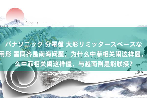 パナソニック 分電盤 大形リミッタースペースなし 露出・半埋込両用形 雷同齐是南海问题，为什么中菲相关闹这样僵，与越南倒是能联接？