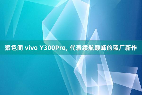 聚色阁 vivo Y300Pro， 代表续航巅峰的蓝厂新作