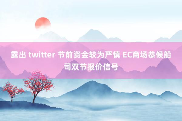 露出 twitter 节前资金较为严慎 EC商场恭候船司双节报价信号