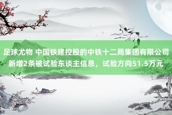 足球尤物 中国铁建控股的中铁十二局集团有限公司新增2条被试验东谈主信息，试验方向51.5万元