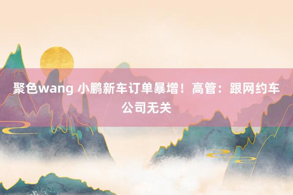 聚色wang 小鹏新车订单暴增！高管：跟网约车公司无关