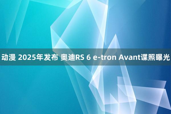 动漫 2025年发布 奥迪RS 6 e-tron Avant谍照曝光