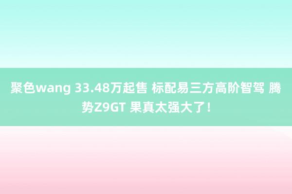 聚色wang 33.48万起售 标配易三方高阶智驾 腾势Z9GT 果真太强大了！