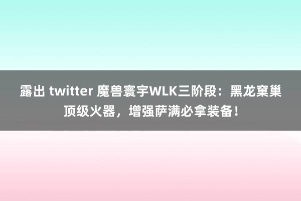 露出 twitter 魔兽寰宇WLK三阶段：黑龙窠巢顶级火器，增强萨满必拿装备！