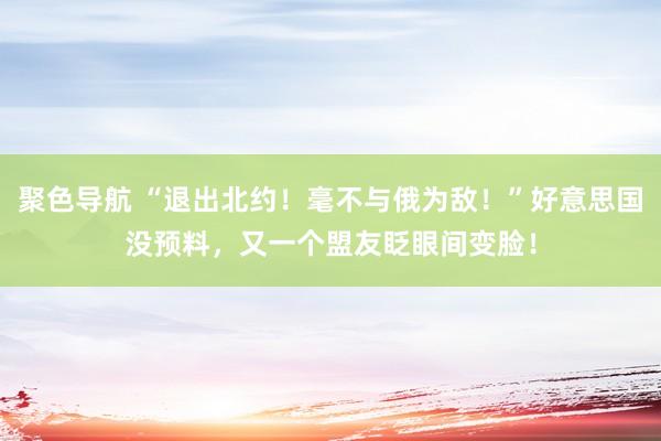 聚色导航 “退出北约！毫不与俄为敌！”好意思国没预料，又一个盟友眨眼间变脸！