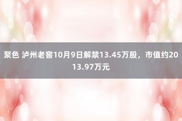 聚色 泸州老窖10月9日解禁13.45万股，市值约2013.97万元