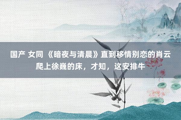 国产 女同 《暗夜与清晨》直到移情别恋的肖云爬上徐巍的床，才知，这安排牛