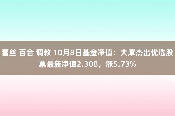 蕾丝 百合 调教 10月8日基金净值：大摩杰出优选股票最新净值2.308，涨5.73%