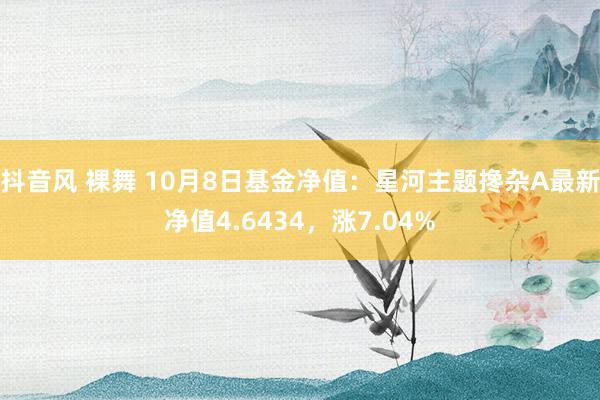 抖音风 裸舞 10月8日基金净值：星河主题搀杂A最新净值4.6434，涨7.04%