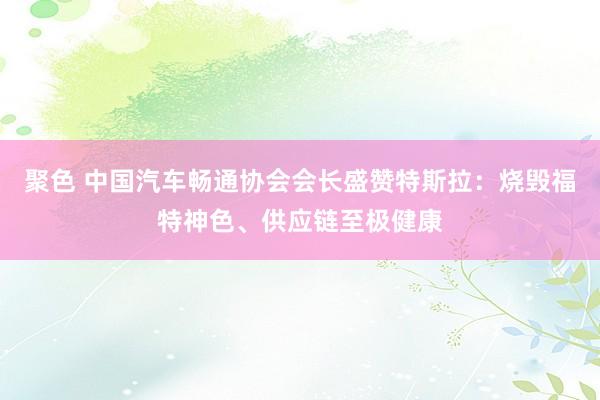 聚色 中国汽车畅通协会会长盛赞特斯拉：烧毁福特神色、供应链至极健康