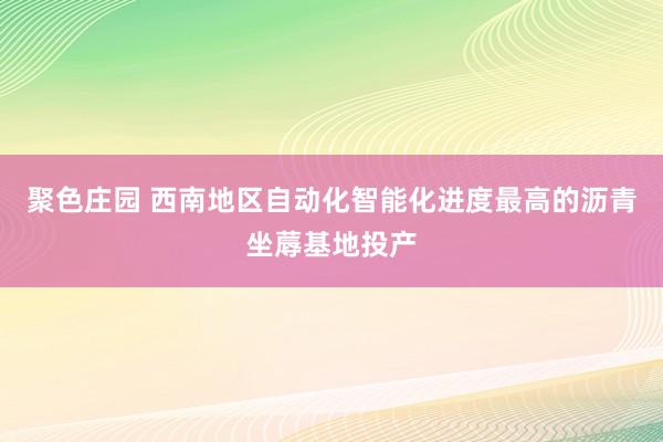 聚色庄园 西南地区自动化智能化进度最高的沥青坐蓐基地投产