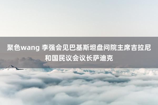 聚色wang 李强会见巴基斯坦盘问院主席吉拉尼和国民议会议长萨迪克