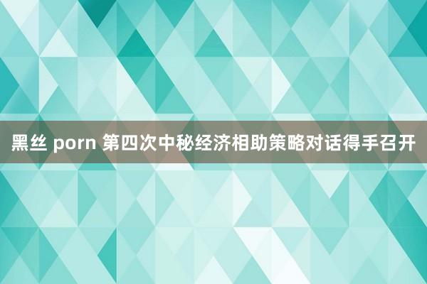 黑丝 porn 第四次中秘经济相助策略对话得手召开