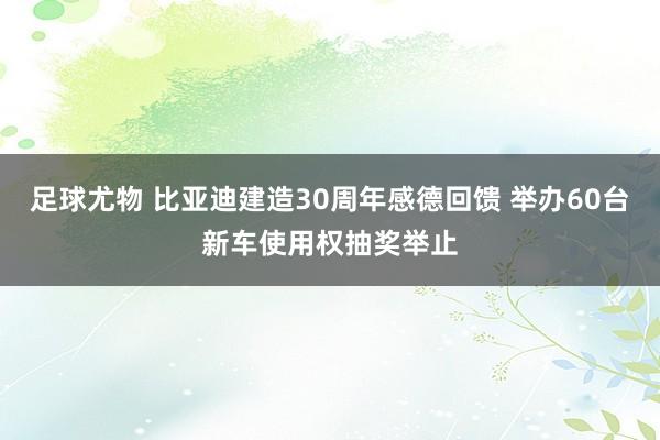 足球尤物 比亚迪建造30周年感德回馈 举办60台新车使用权抽奖举止