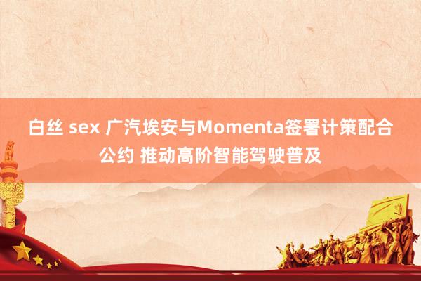 白丝 sex 广汽埃安与Momenta签署计策配合公约 推动高阶智能驾驶普及