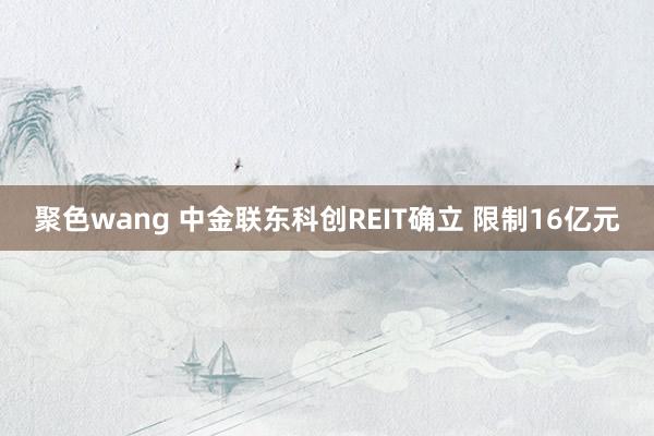 聚色wang 中金联东科创REIT确立 限制16亿元