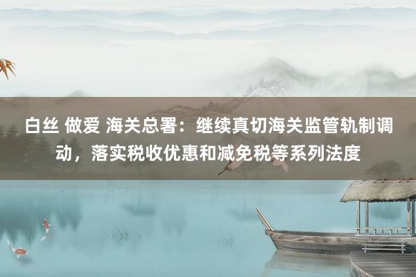 白丝 做爱 海关总署：继续真切海关监管轨制调动，落实税收优惠和减免税等系列法度