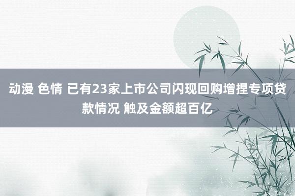 动漫 色情 已有23家上市公司闪现回购增捏专项贷款情况 触及金额超百亿