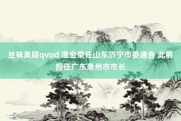 丝袜美腿qvod 温金荣任山东济宁市委通告 此前担任广东惠州市市长