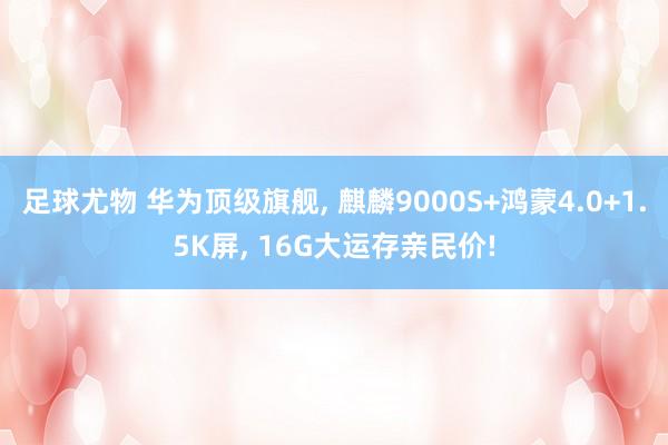 足球尤物 华为顶级旗舰， 麒麟9000S+鸿蒙4.0+1.5K屏， 16G大运存亲民价!