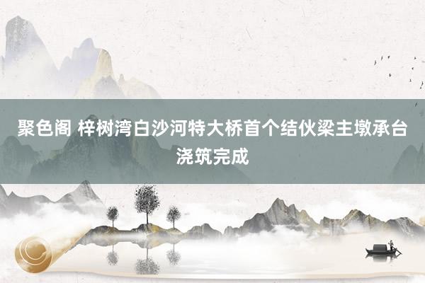 聚色阁 梓树湾白沙河特大桥首个结伙梁主墩承台浇筑完成