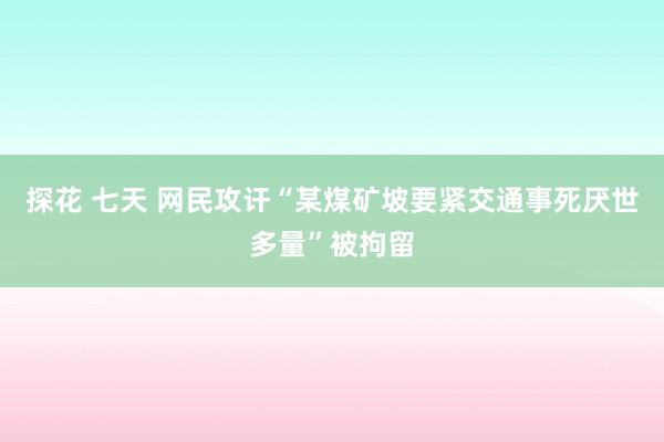 探花 七天 网民攻讦“某煤矿坡要紧交通事死厌世多量”被拘留