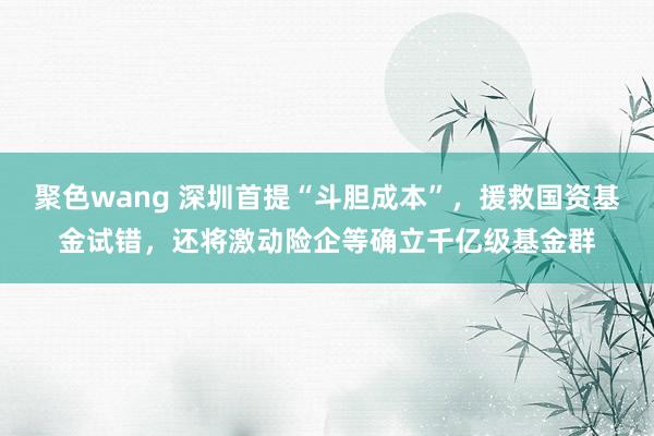 聚色wang 深圳首提“斗胆成本”，援救国资基金试错，还将激动险企等确立千亿级基金群