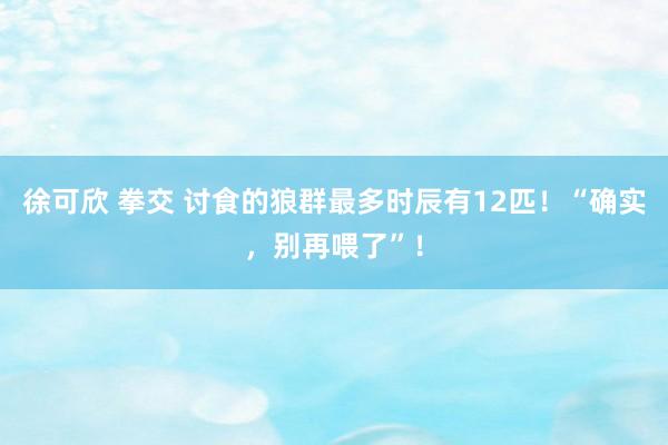 徐可欣 拳交 讨食的狼群最多时辰有12匹！“确实，别再喂了”！