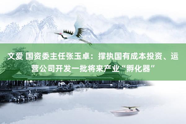 文爱 国资委主任张玉卓：撑执国有成本投资、运营公司开发一批将来产业“孵化器”