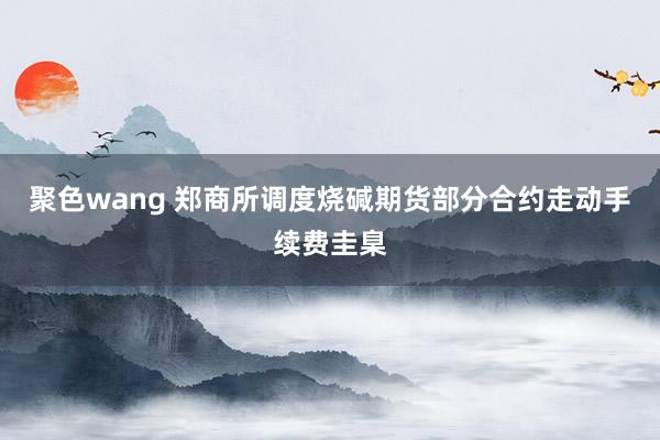 聚色wang 郑商所调度烧碱期货部分合约走动手续费圭臬