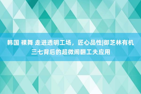 韩国 裸舞 走进透明工场，匠心品性|御芝林有机三七背后的超微闹翻工夫应用