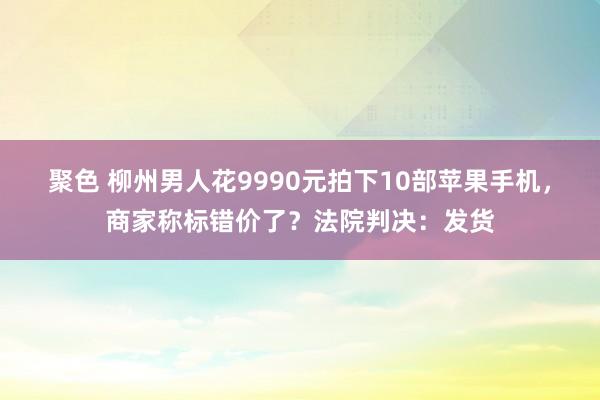 聚色 柳州男人花9990元拍下10部苹果手机，商家称标错价了？法院判决：发货