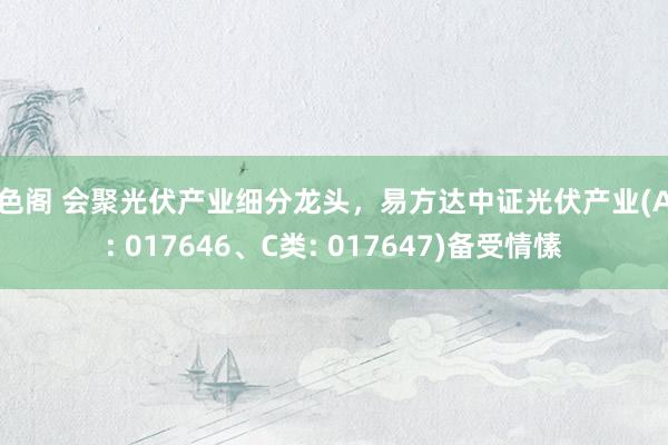 聚色阁 会聚光伏产业细分龙头，易方达中证光伏产业(A类: 017646、C类: 017647)备受情愫