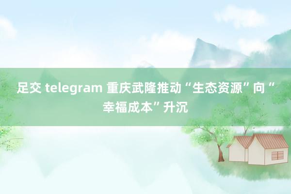 足交 telegram 重庆武隆推动“生态资源”向“幸福成本”升沉