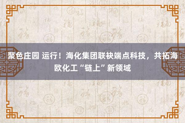 聚色庄园 运行！海化集团联袂端点科技，共拓海欧化工“链上”新领域