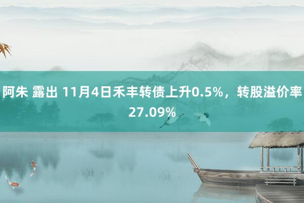 阿朱 露出 11月4日禾丰转债上升0.5%，转股溢价率27.09%