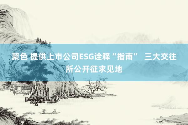 聚色 提供上市公司ESG诠释“指南”  三大交往所公开征求见地