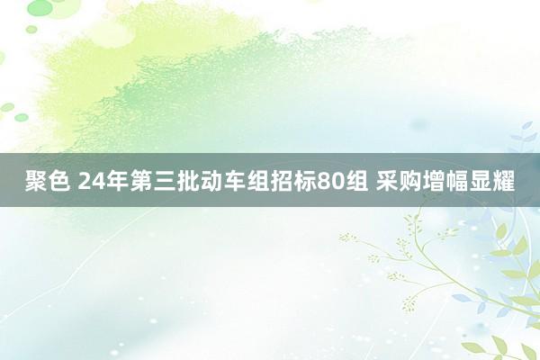 聚色 24年第三批动车组招标80组 采购增幅显耀