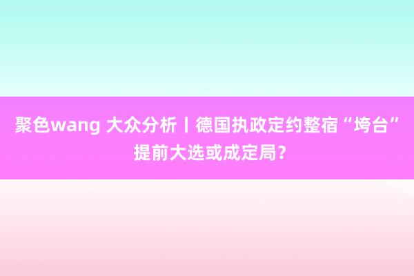 聚色wang 大众分析丨德国执政定约整宿“垮台” 提前大选或成定局？