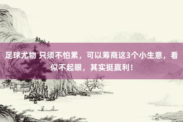 足球尤物 只须不怕累，可以筹商这3个小生意，看似不起眼，其实挺赢利！