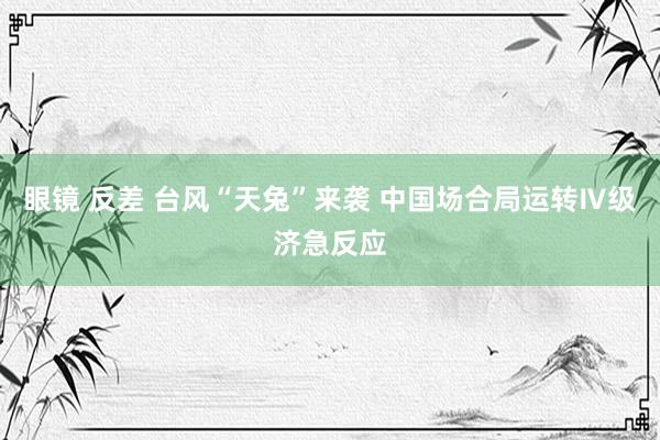 眼镜 反差 台风“天兔”来袭 中国场合局运转Ⅳ级济急反应