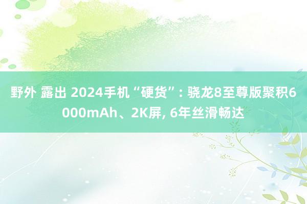 野外 露出 2024手机“硬货”: 骁龙8至尊版聚积6000mAh、2K屏， 6年丝滑畅达