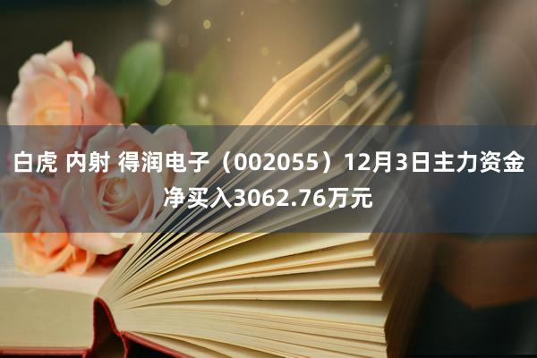 白虎 内射 得润电子（002055）12月3日主力资金净买入3062.76万元