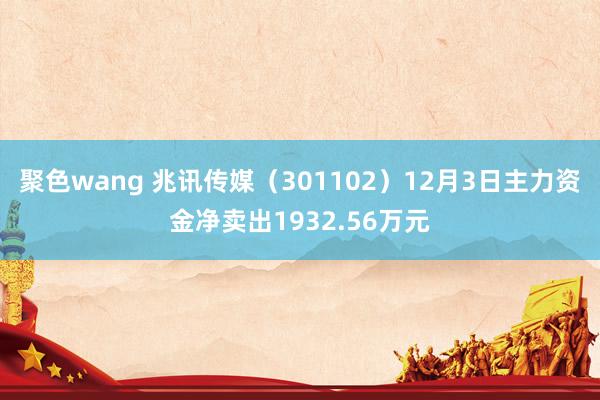 聚色wang 兆讯传媒（301102）12月3日主力资金净卖出1932.56万元