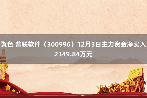 聚色 普联软件（300996）12月3日主力资金净买入2349.84万元